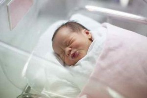 560_baby