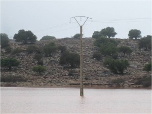 Image1