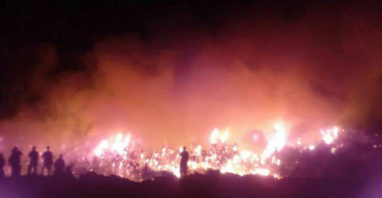 طاطا: حريق مهول بــ” تمنارت” يدمر احدى الواحات طاطا: حريق مهول بــ” تمنارت” يدمر احدى الواحات