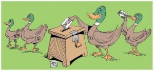élection