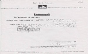 Présentation1