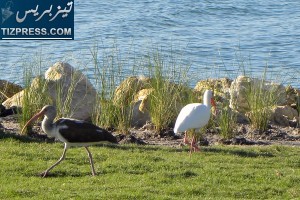 بلدة_ماسة_السياحية_اشتوكة_أيت_بها