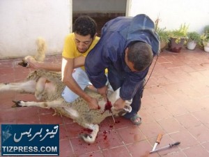 ذبح_الأضحية_عيد_الأضحى_المبارك_