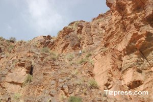 DSC_0167_600x400