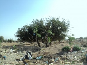 DSC05870