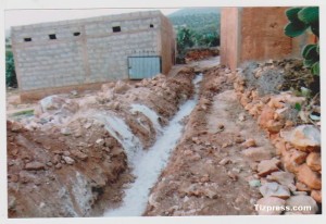 Photo 002