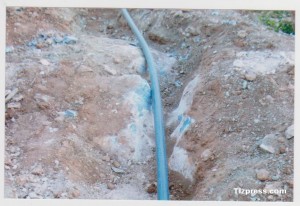 Photo 005