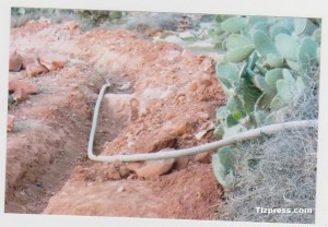 Photo 006