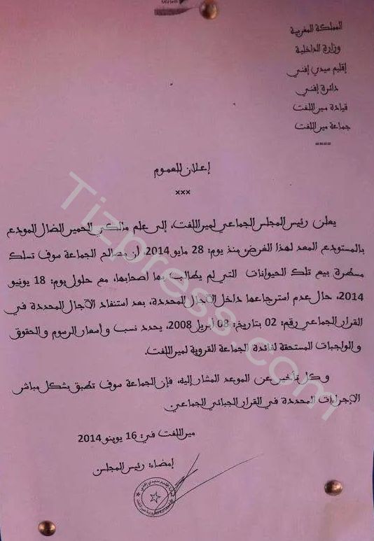 سيدي إفني : حمير في المزاد العلني بجماعة ميرلفت سيدي إفني : حمير في المزاد العلني بجماعة ميرلفت