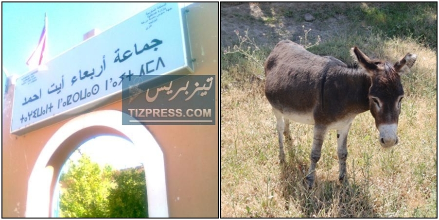 تغريم مواطنين بسبب حميرهم بأربعاء ايت احمد !! تغريم مواطنين بسبب حميرهم بأربعاء ايت احمد !!