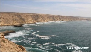 Image1