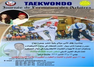 tekwondo