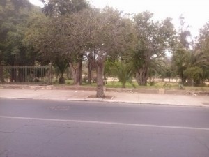 CAM00354-11-400x300