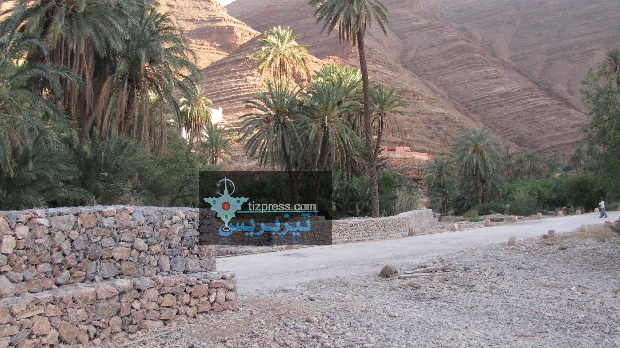 تافراوت : بعد كارثة الحريق الذي شب في واحة تزركين جاء دور الفيضانات ! تافراوت : بعد كارثة الحريق الذي شب في واحة تزركين جاء دور الفيضانات !