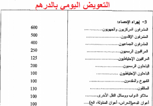 www.elmarakez.com