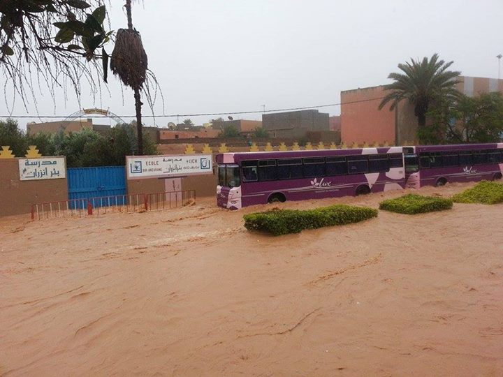 الفيضانات تجر حصاد والرباح للمساءلة الفيضانات تجر حصاد والرباح للمساءلة