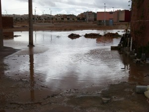 P1040659