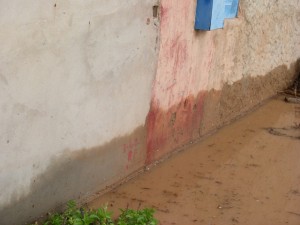 P1040685