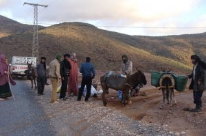 souss_575182035