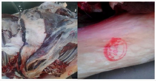 أكلو : حجز لحوم غير حاملة للطابع البيطري أكلو : حجز لحوم غير حاملة للطابع البيطري