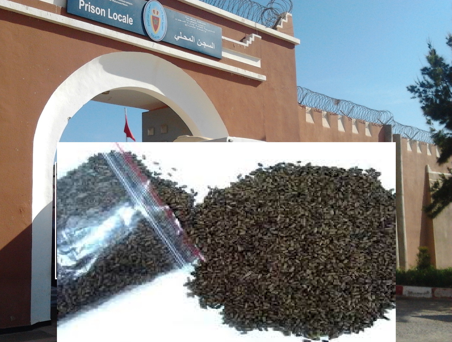 تيزنيت :إحباط تسريب مخدرات في الشاي بالسجن المحلي تيزنيت :إحباط تسريب مخدرات في الشاي بالسجن المحلي