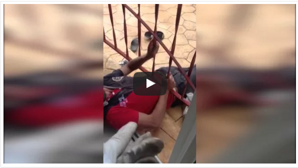 بالفيديو: ضبط لص علق وهو يحاول الفرار