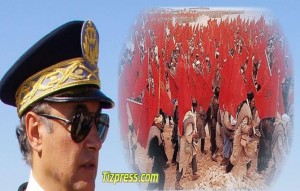 عامل تيزنيت