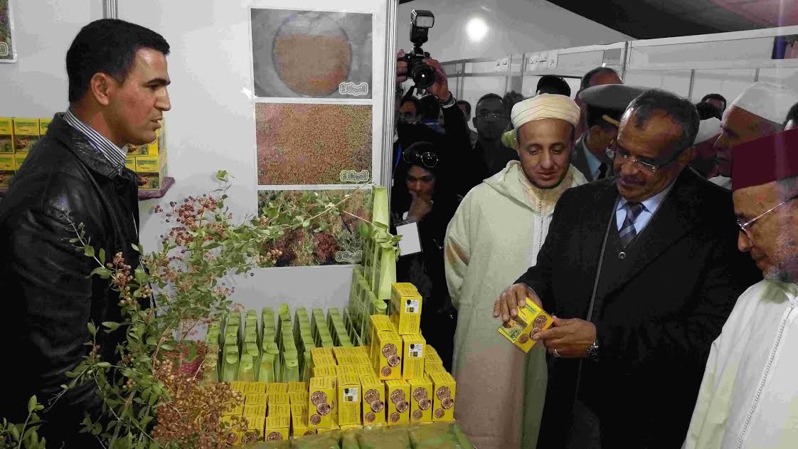 زاكورة : عامل الإقليم يترأس افتتاح المهرجان الدولي الرابع للحناء زاكورة : عامل الإقليم يترأس افتتاح المهرجان الدولي الرابع للحناء