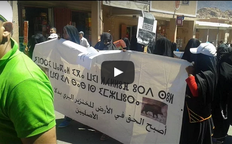 بالفيديو : ساكنة تافراوت تَحْتَج ضد التحديد الغابوي