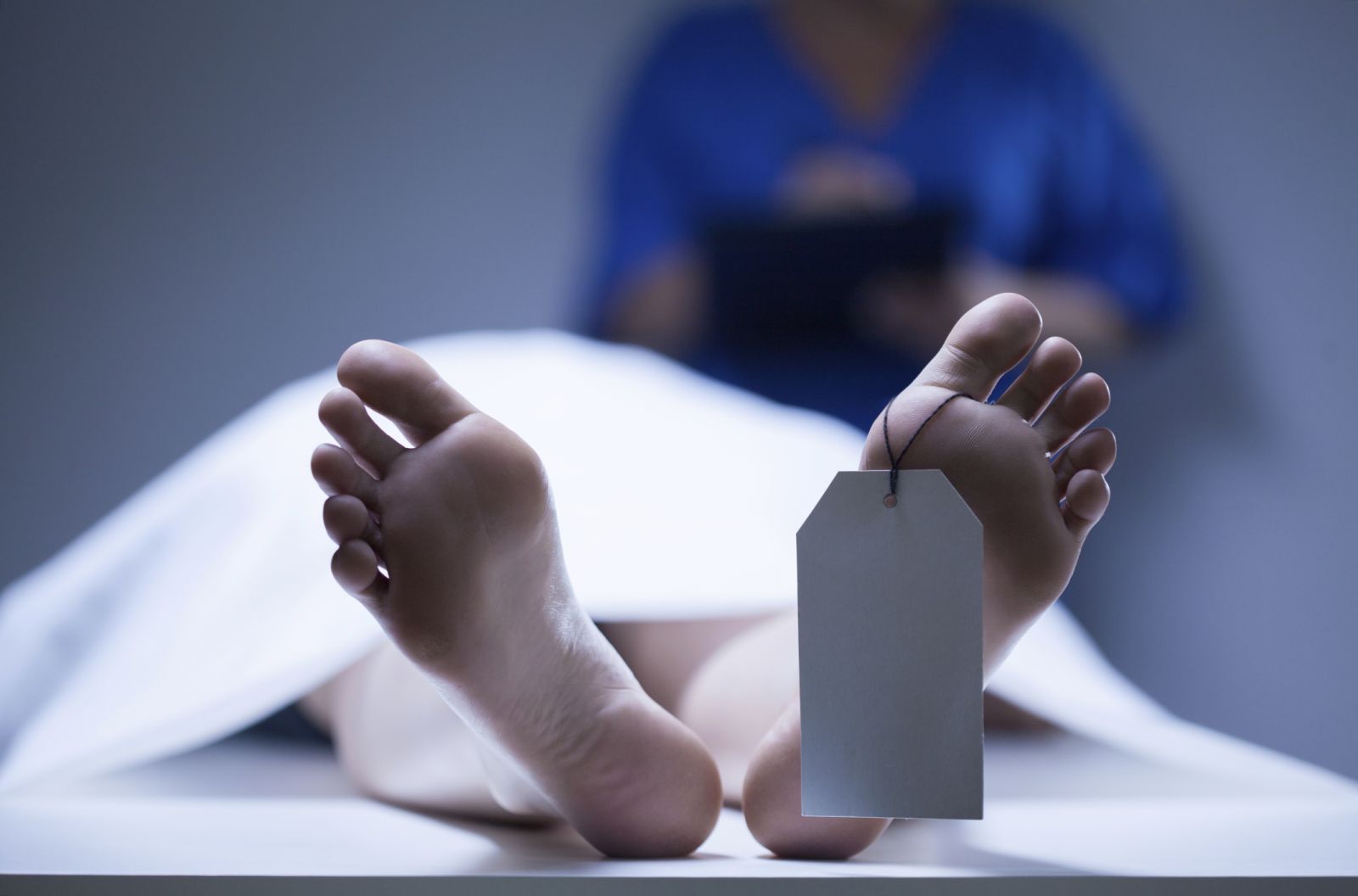 تيزنيت : جريمة قتل تستنفر الدرك و الأمن وحملات تمشيطية للوصول إلى الجاني تيزنيت : جريمة قتل تستنفر الدرك و الأمن وحملات تمشيطية للوصول إلى الجاني