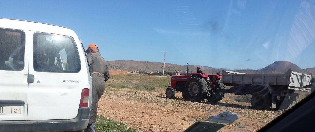 حملة للقضاء على الكلاب الضالة بوجان حملة للقضاء على الكلاب الضالة بوجان