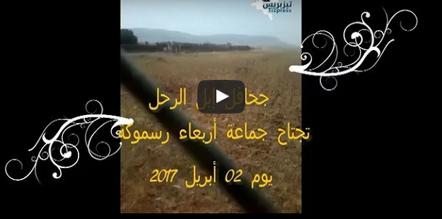 بالفيديو : جحافل إبل الرحل تجتاح رسموكة بالفيديو : جحافل إبل الرحل تجتاح رسموكة