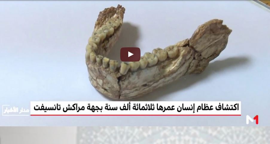 فيديو: كشف بقايا عظمية بالمغرب عمرها 300 ألف عام فيديو: كشف بقايا عظمية بالمغرب عمرها 300 ألف عام