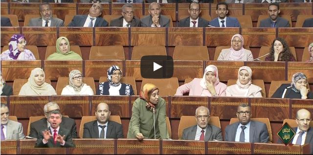 بالفيديو ..آمنة ماء العينين تحصي أخطاء حصاد