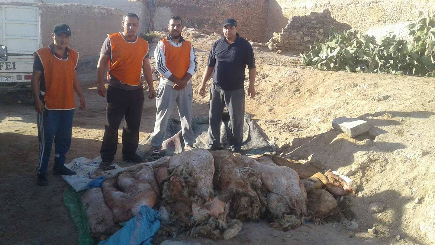 بالصور : عملية جمع ” هيضورة ” الأضاحي بأولاد جرار لهدف خيري بالصور : عملية جمع ” هيضورة ” الأضاحي بأولاد جرار لهدف خيري