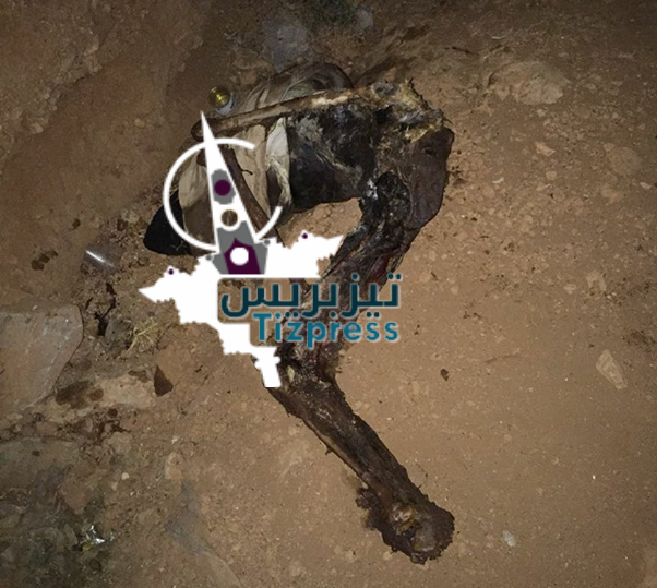 بالــصورة :العثور على جثة متحللة نهشتها الكلاب بأولاد جرار بالــصورة :العثور على جثة متحللة نهشتها الكلاب بأولاد جرار