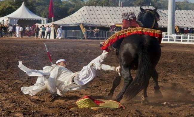 البارود ينهي حياة فارس البارود ينهي حياة فارس