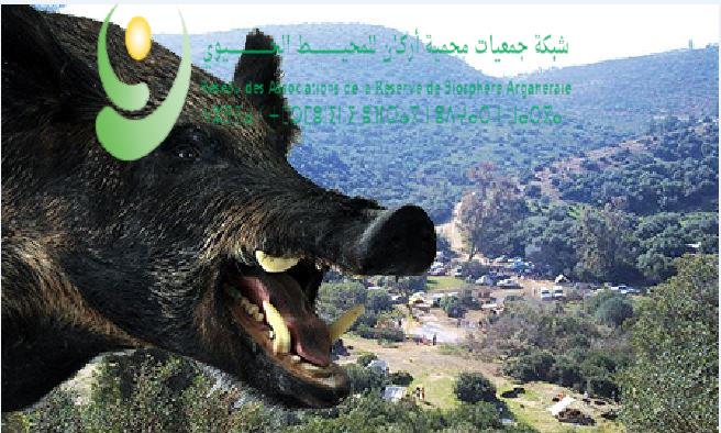 الشبكة RARBA تساند و تضامن مع مسيرة الغد بالبيضاء ضد الرعي الجائر و الخنزير البري الشبكة RARBA تساند و تضامن مع مسيرة الغد بالبيضاء ضد الرعي الجائر و الخنزير البري