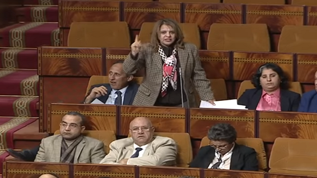 فيديو ..نايضة في مجلس النواب بسبب مول الحانوت الشلح فيديو ..نايضة في مجلس النواب بسبب مول الحانوت الشلح