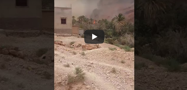 تافراوت : حريق مهول يلتهم واحة ” گدورت” بأفلا إغير ( فيديو ) تافراوت : حريق مهول يلتهم واحة ” گدورت” بأفلا إغير ( فيديو )