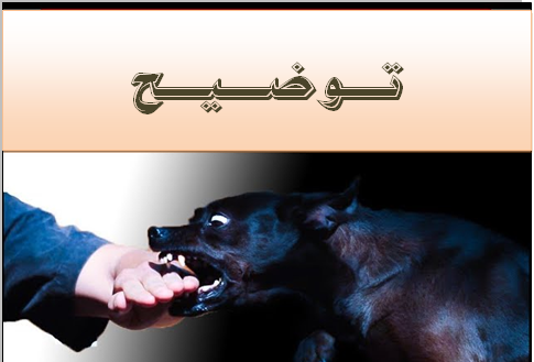 بونعمان : مواطن يوضح حيثيات اتهام كلبيه بمهاجمة ستيني بدوار “ادوحميدى” بونعمان : مواطن يوضح حيثيات اتهام كلبيه بمهاجمة ستيني بدوار “ادوحميدى”