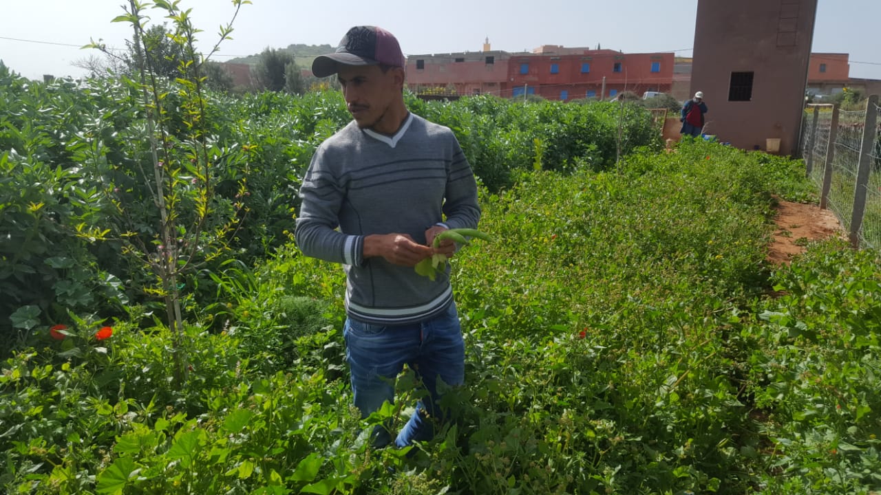 تيزنيت:شاب يتحدى الطبيعة..ضيعة فلاحية بــ « البْيو» وسط الجبال ( فيديو ) تيزنيت:شاب يتحدى الطبيعة..ضيعة فلاحية بــ « البْيو» وسط الجبال ( فيديو )