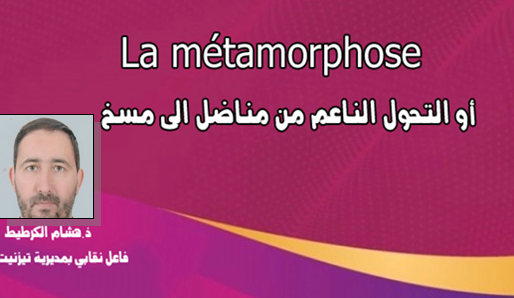 الكرطيط يكتب : La métamorphose أو التحول الناعم من مناضل الى مسخ الكرطيط يكتب : La métamorphose أو التحول الناعم من مناضل الى مسخ