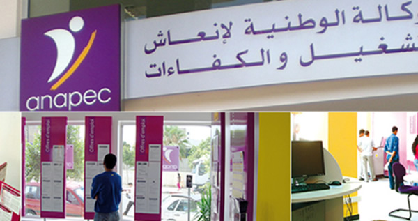 وزير الشغل يعلن عن إصلاح شامل لوكالة أنابيك وزير الشغل يعلن عن إصلاح شامل لوكالة أنابيك