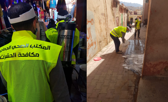 تافراوت :الجماعة تعطي إنطلاقة العمل بفرقة مكافحة الحشرات والأوبئة