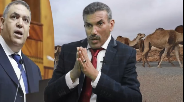 المحامي عمر الداودي: النيابة العامة لا تتفاعل مع شكايات ضحايا اعتداءات الرعاة الرُّحل ..و ” المشكل مركّب يفوق حتى مؤسسة الحكومة ” ( فيديو ) المحامي عمر الداودي: النيابة العامة لا تتفاعل مع شكايات ضحايا اعتداءات الرعاة الرُّحل ..و ” المشكل مركّب يفوق حتى مؤسسة الحكومة ” ( فيديو )