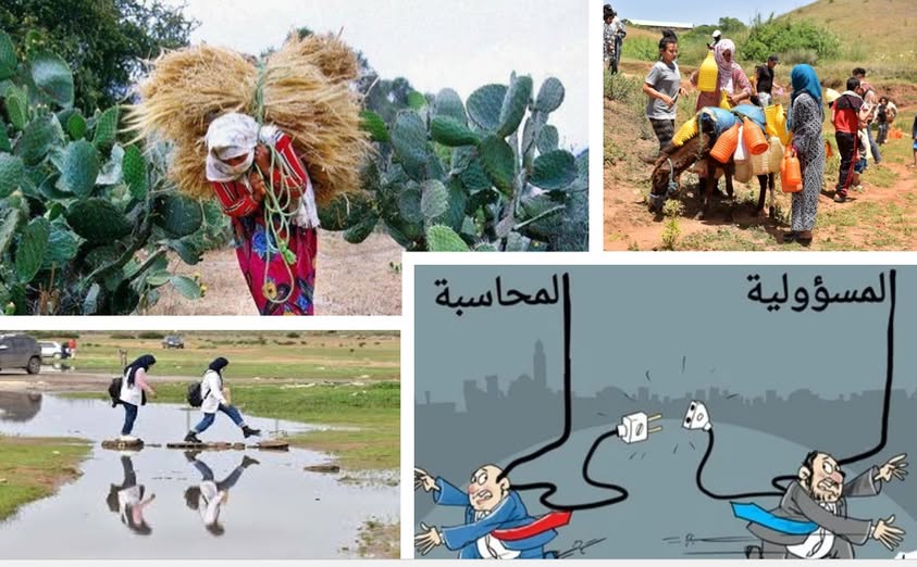 التنمية القروية:مشاريع على الورق و واقع يُنذر بالخطر..لصوص المال العام في خدمة مشاريع وهمية التنمية القروية:مشاريع على الورق و واقع يُنذر بالخطر..لصوص المال العام في خدمة مشاريع وهمية