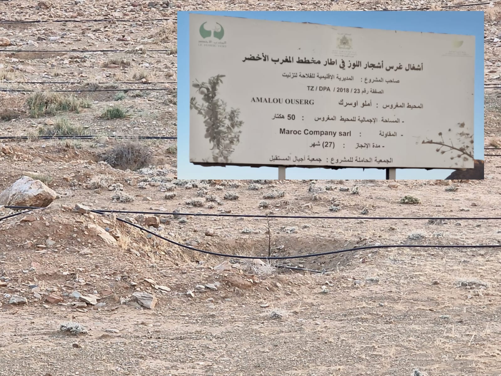 تيزنيت…“النجاحات” المعلّبة لمخطط المغرب الأخضر. 150 مليار في مهب الريح
