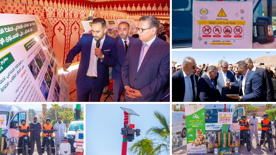 تافراوت : أمام رئيس الحكومة…عرض تفاصيل أول خطة ذكية على الصعيد الوطني لمواجهة انتشار الكلاب الضالة.