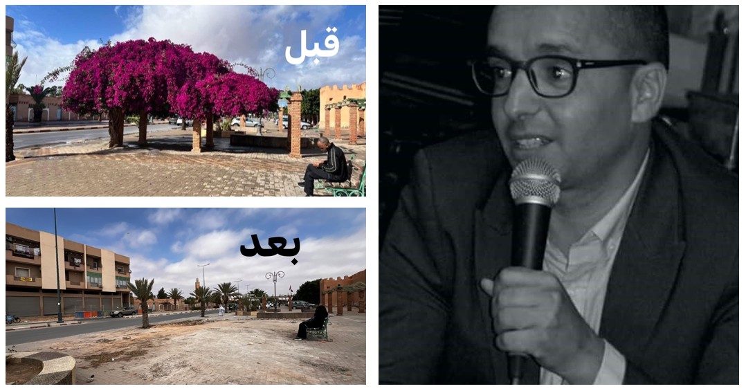 توضيح جماعة تيزنيت ورد فاعل مدني: عندما تصطدم الأشجار بمسارات الدراجات.